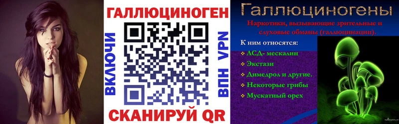 где купить   Арзамас  Псилоцибиновые грибы Cubensis 